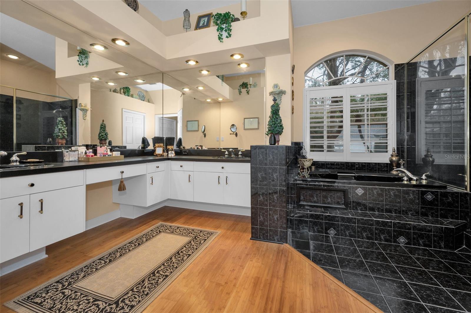 5501 STAG THICKET LN, PALM HARBOR, FL, 34685