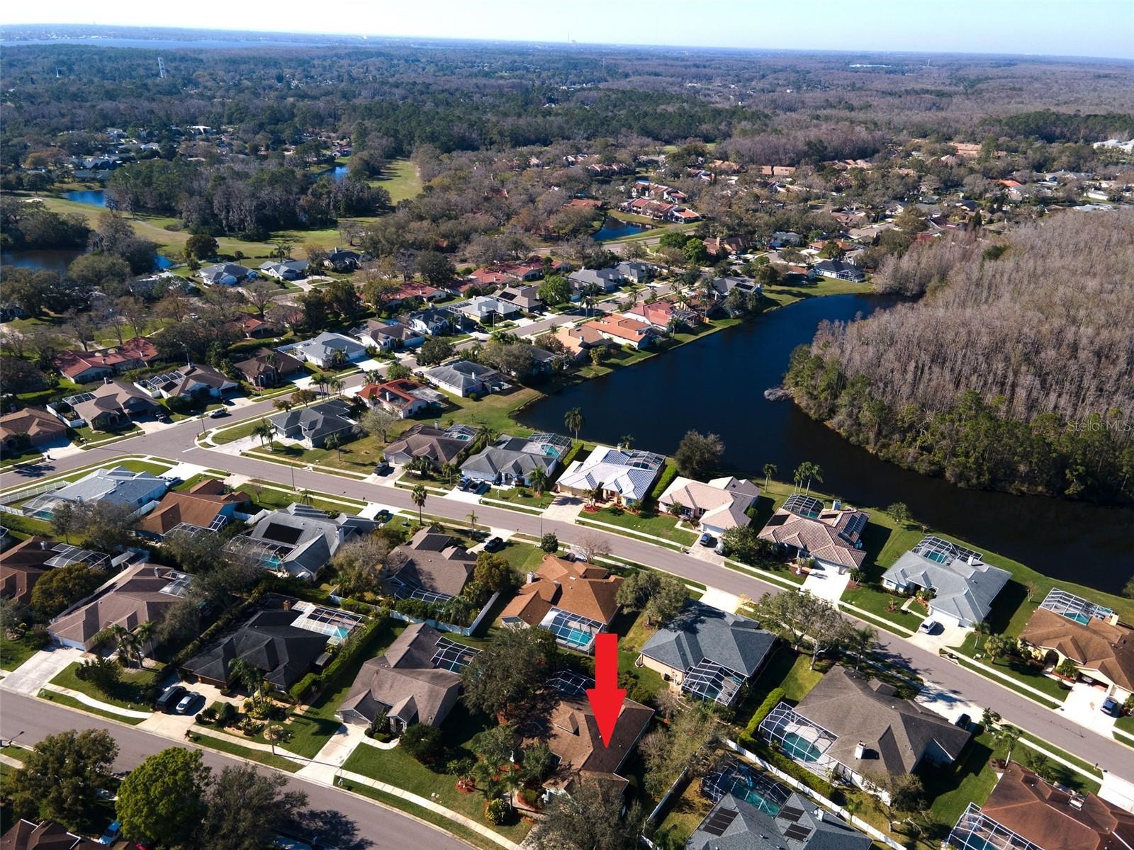 5501 STAG THICKET LN, PALM HARBOR, FL, 34685