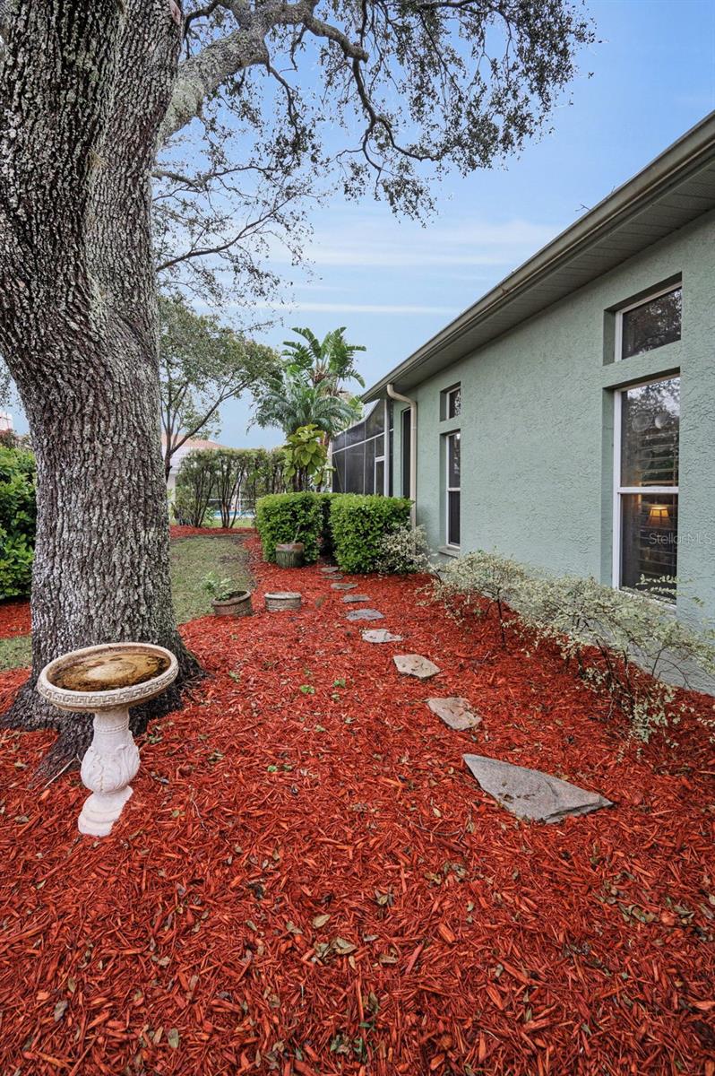 5501 STAG THICKET LN, PALM HARBOR, FL, 34685