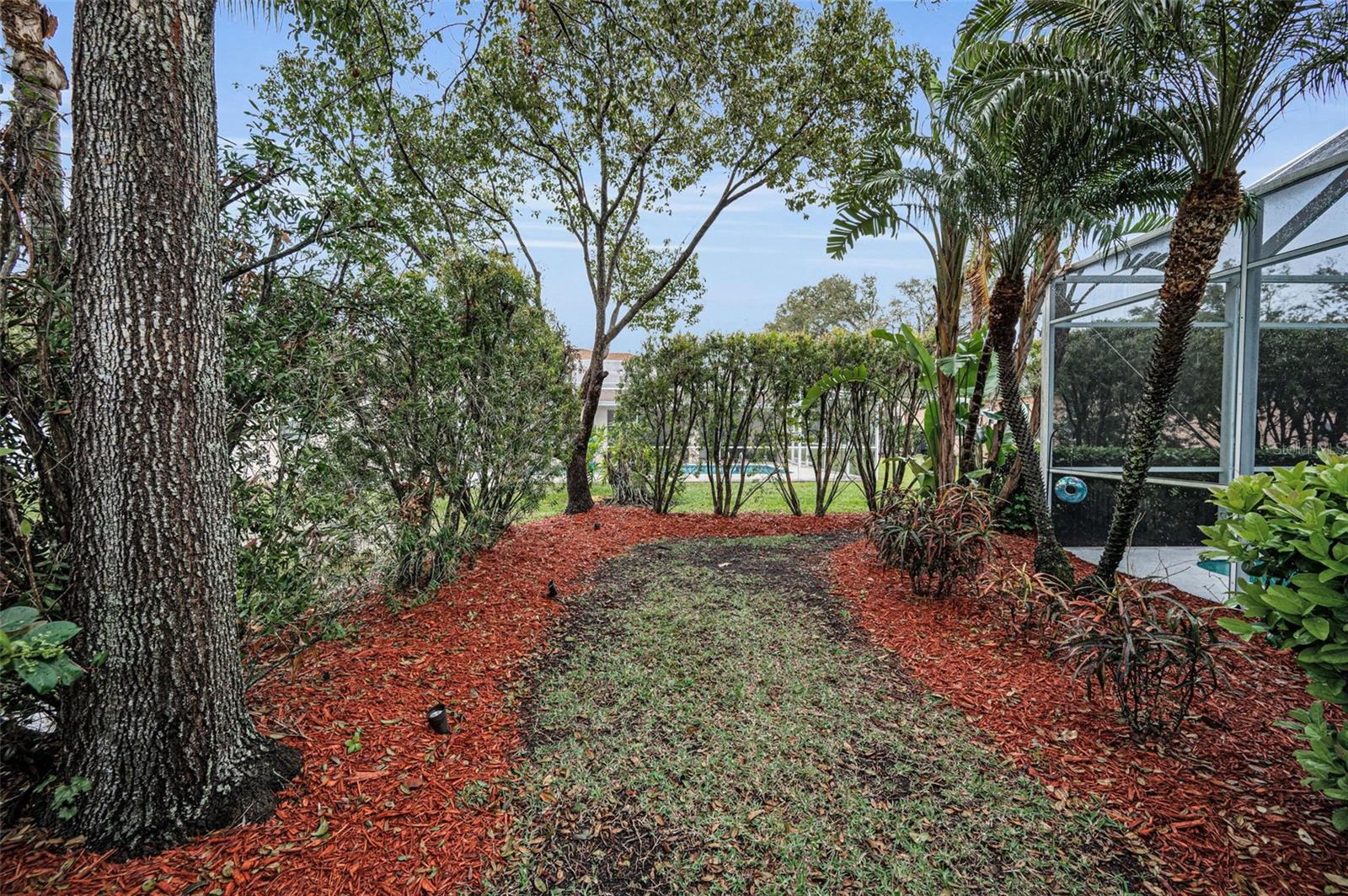 5501 STAG THICKET LN, PALM HARBOR, FL, 34685
