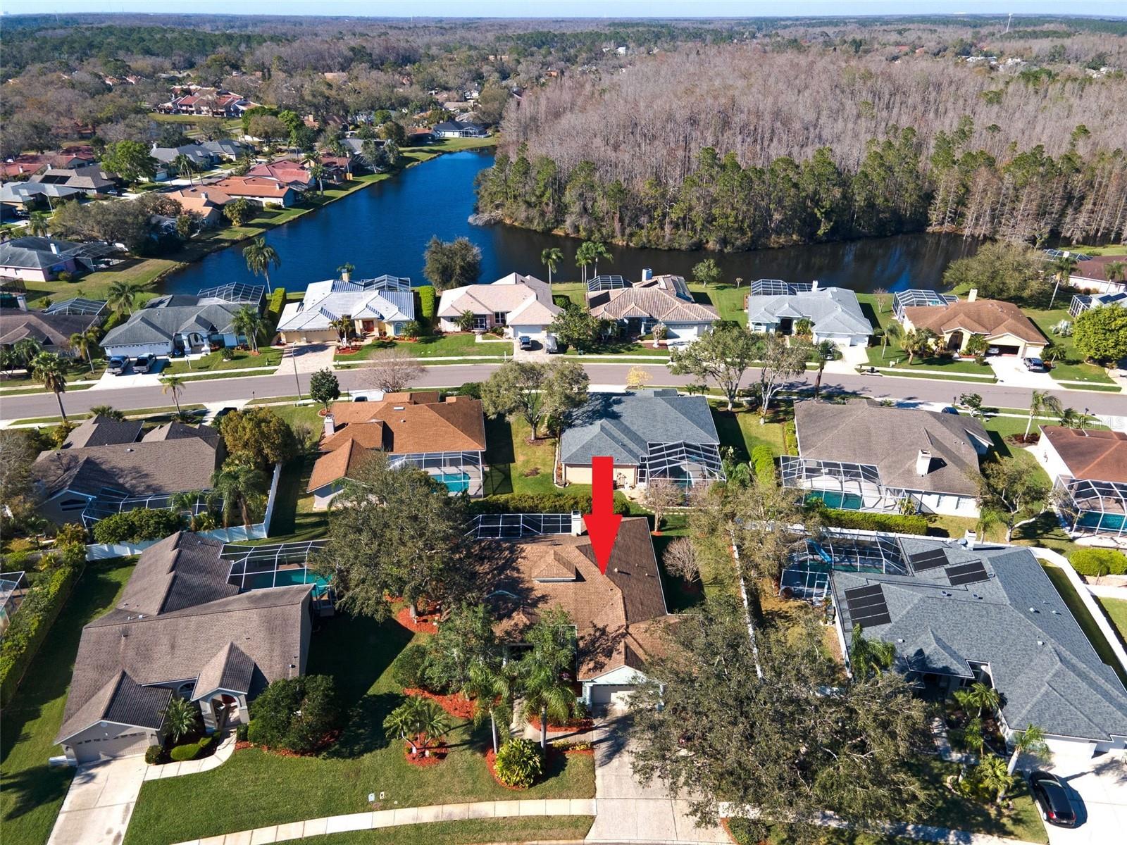 5501 STAG THICKET LN, PALM HARBOR, FL, 34685