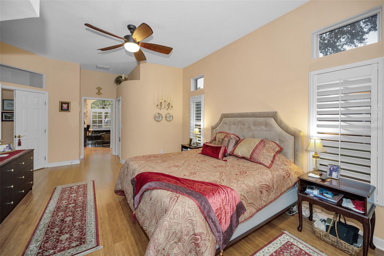 5501 STAG THICKET LN, PALM HARBOR, FL, 34685