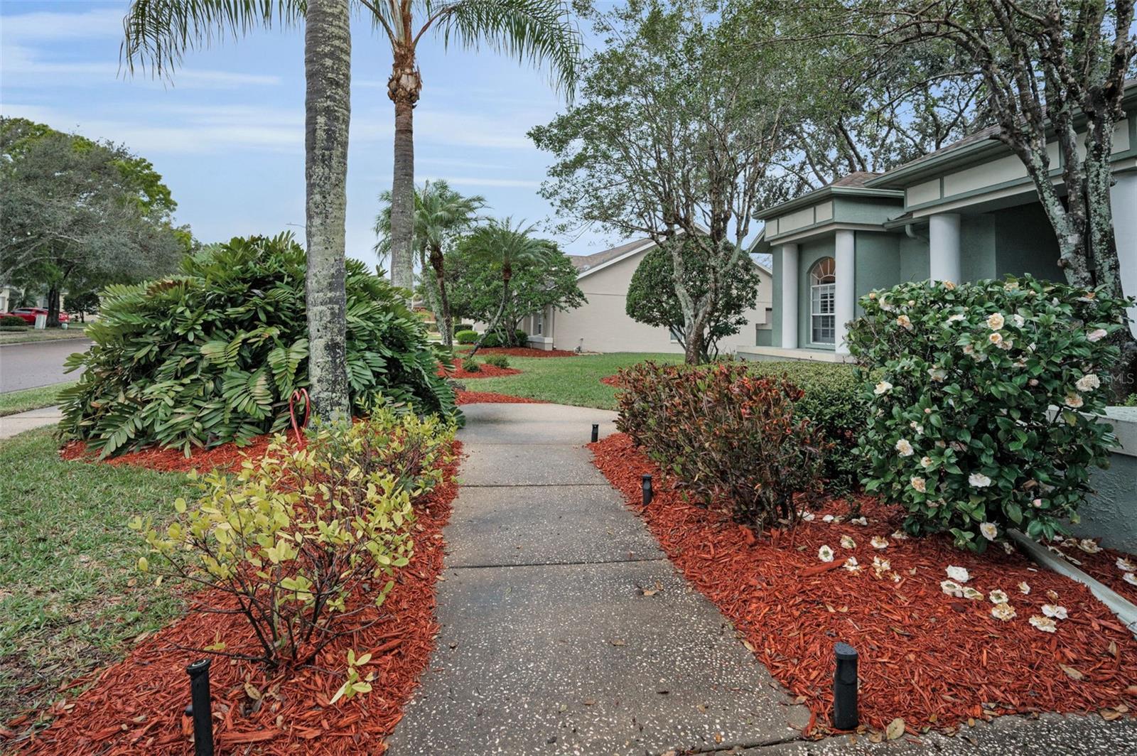 5501 STAG THICKET LN, PALM HARBOR, FL, 34685
