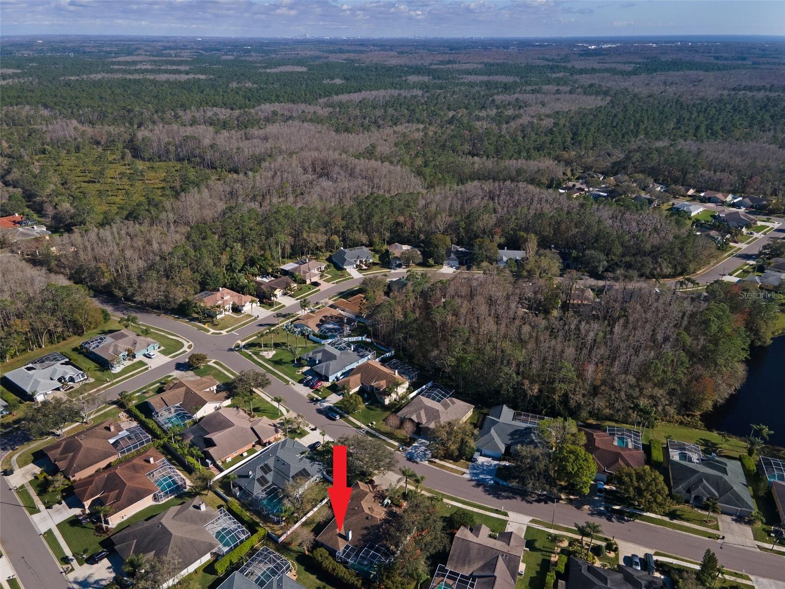 5501 STAG THICKET LN, PALM HARBOR, FL, 34685