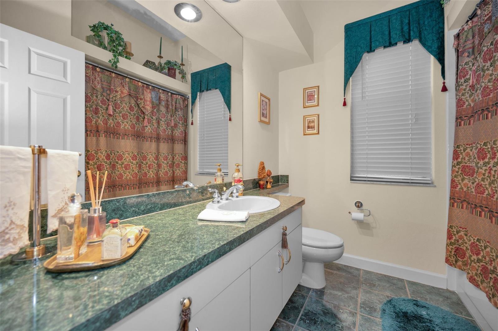 5501 STAG THICKET LN, PALM HARBOR, FL, 34685