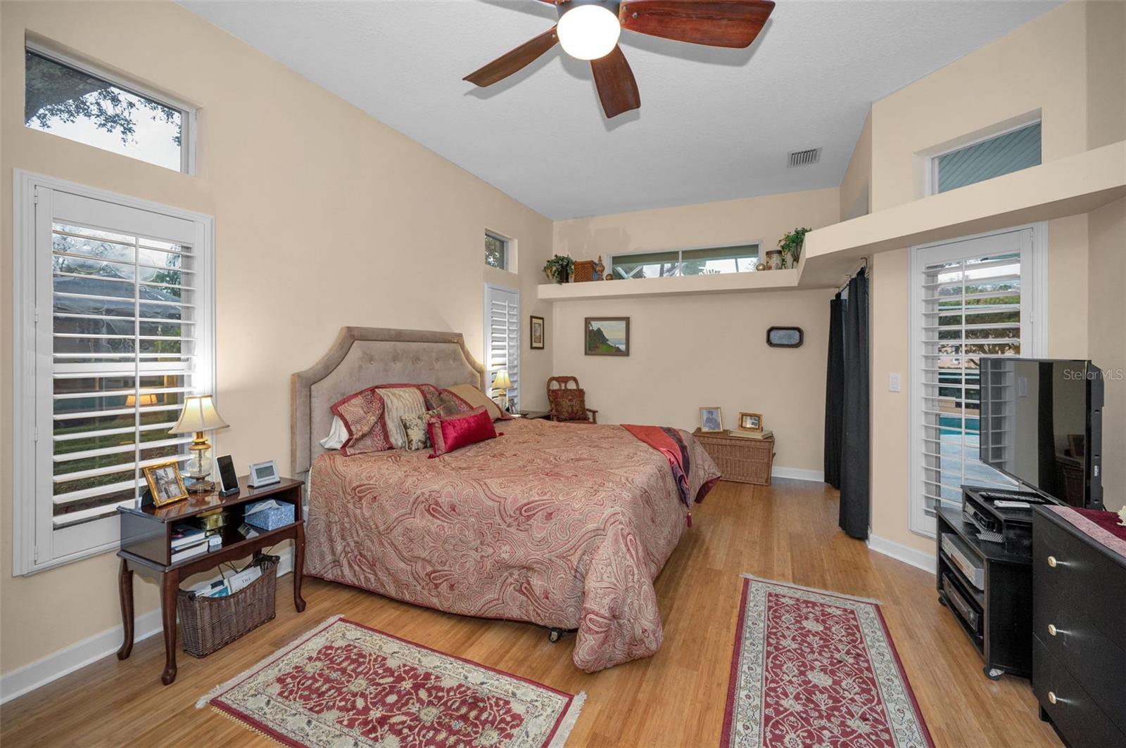 5501 STAG THICKET LN, PALM HARBOR, FL, 34685