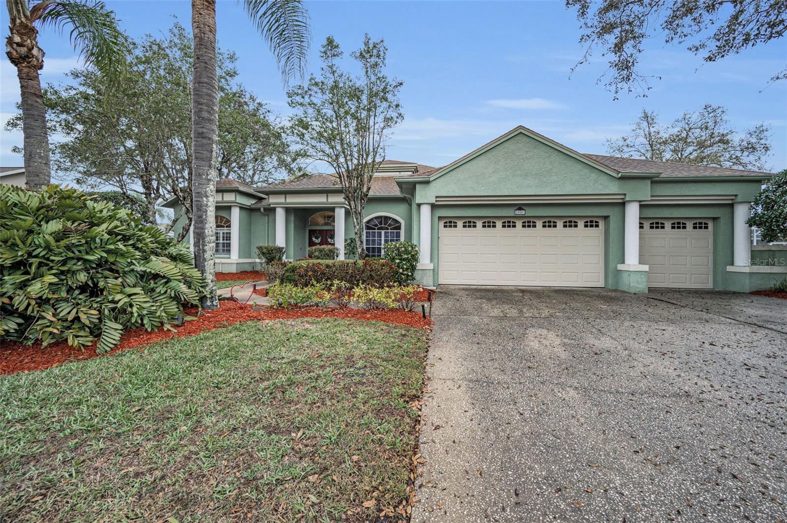 5501 STAG THICKET LN, PALM HARBOR, FL, 34685