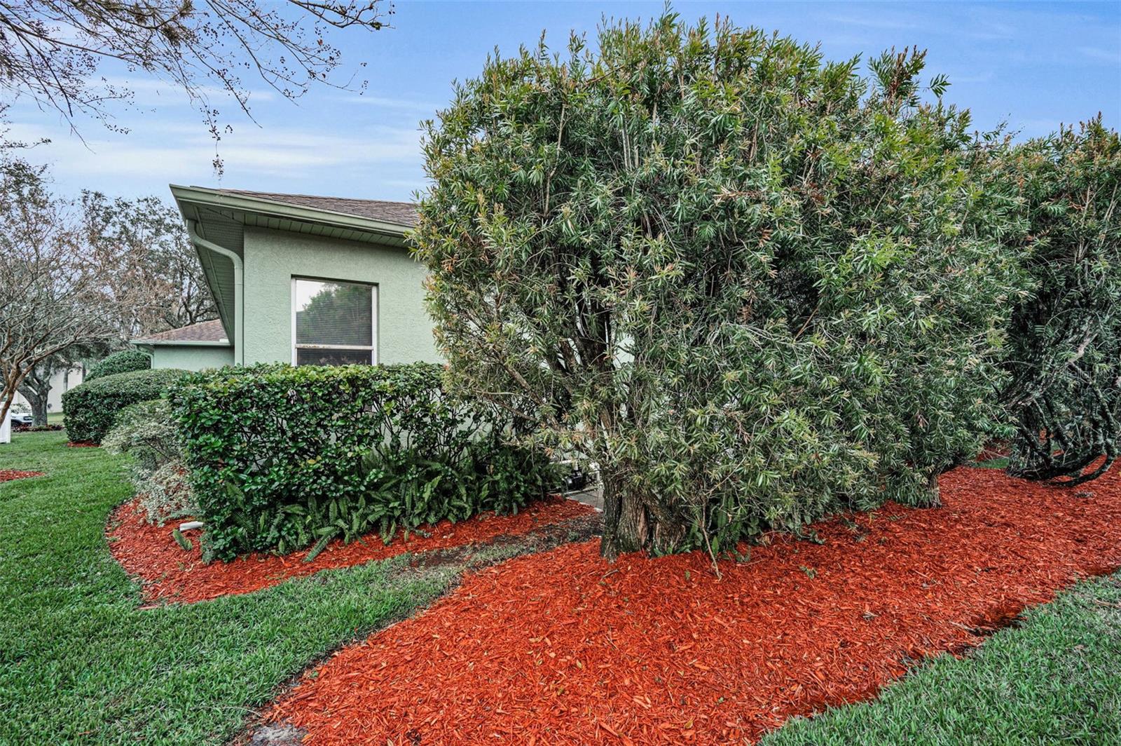 5501 STAG THICKET LN, PALM HARBOR, FL, 34685