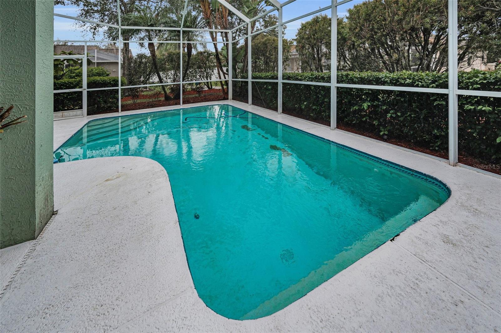 5501 STAG THICKET LN, PALM HARBOR, FL, 34685