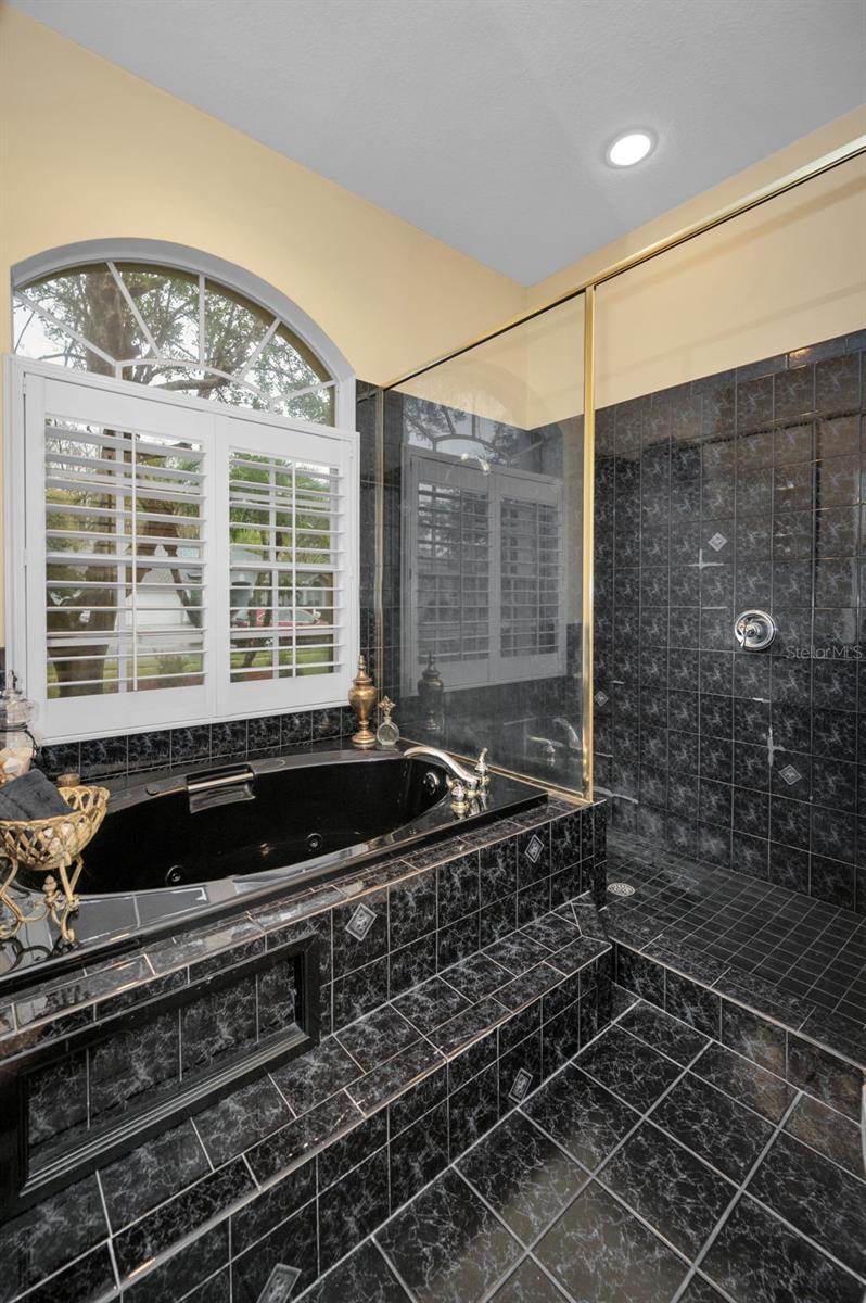 5501 STAG THICKET LN, PALM HARBOR, FL, 34685