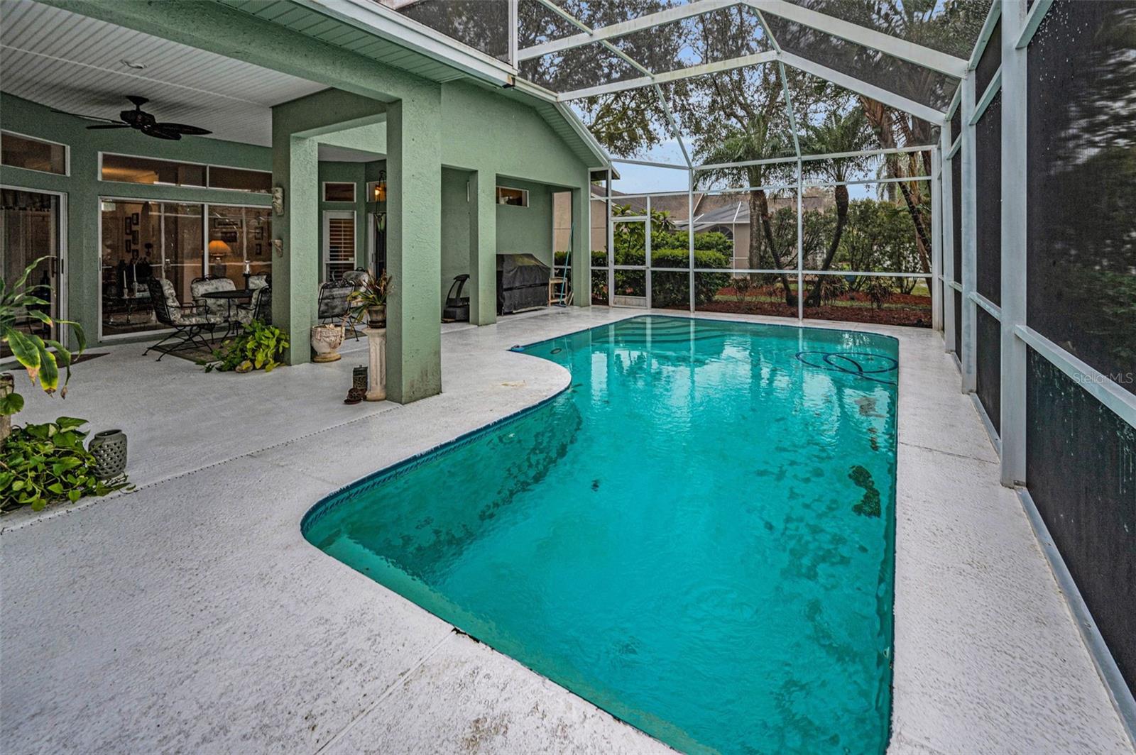 5501 STAG THICKET LN, PALM HARBOR, FL, 34685