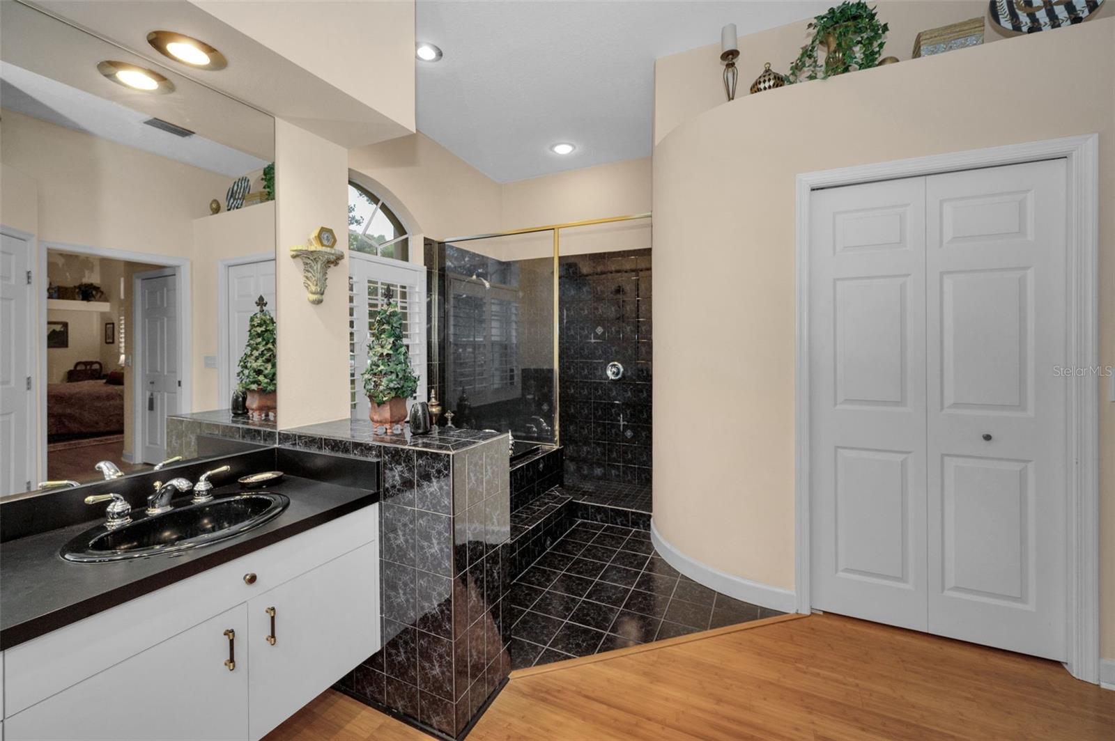 5501 STAG THICKET LN, PALM HARBOR, FL, 34685