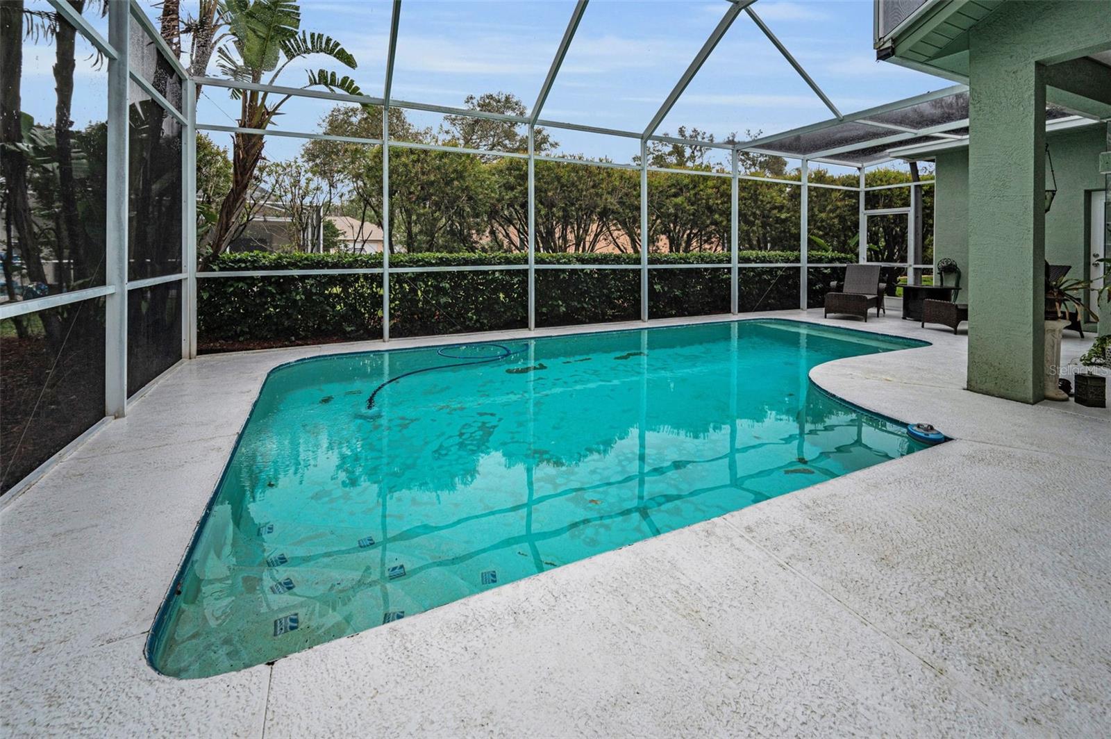 5501 STAG THICKET LN, PALM HARBOR, FL, 34685