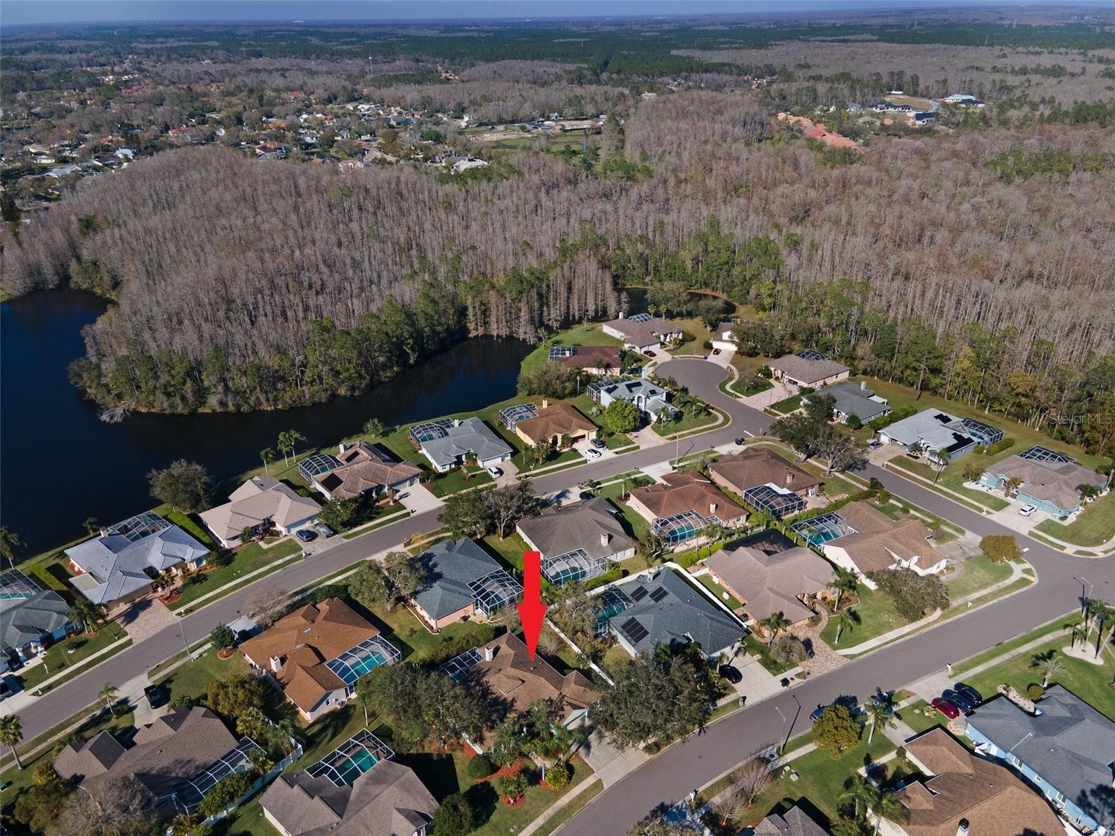 5501 STAG THICKET LN, PALM HARBOR, FL, 34685