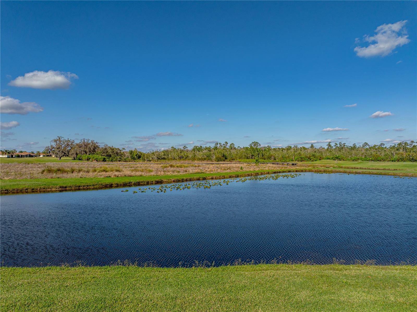 3010 ASHTON PALMS DR, LAKE WALES, FL, 33859