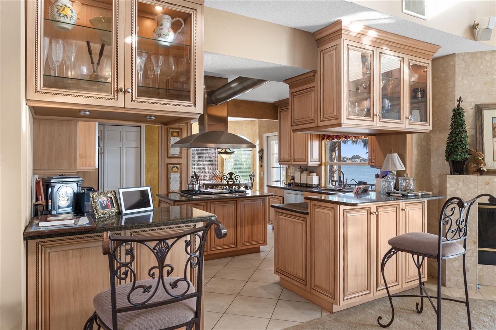 2077 N POINTE ALEXIS DR, TARPON SPRINGS, FL, 34689