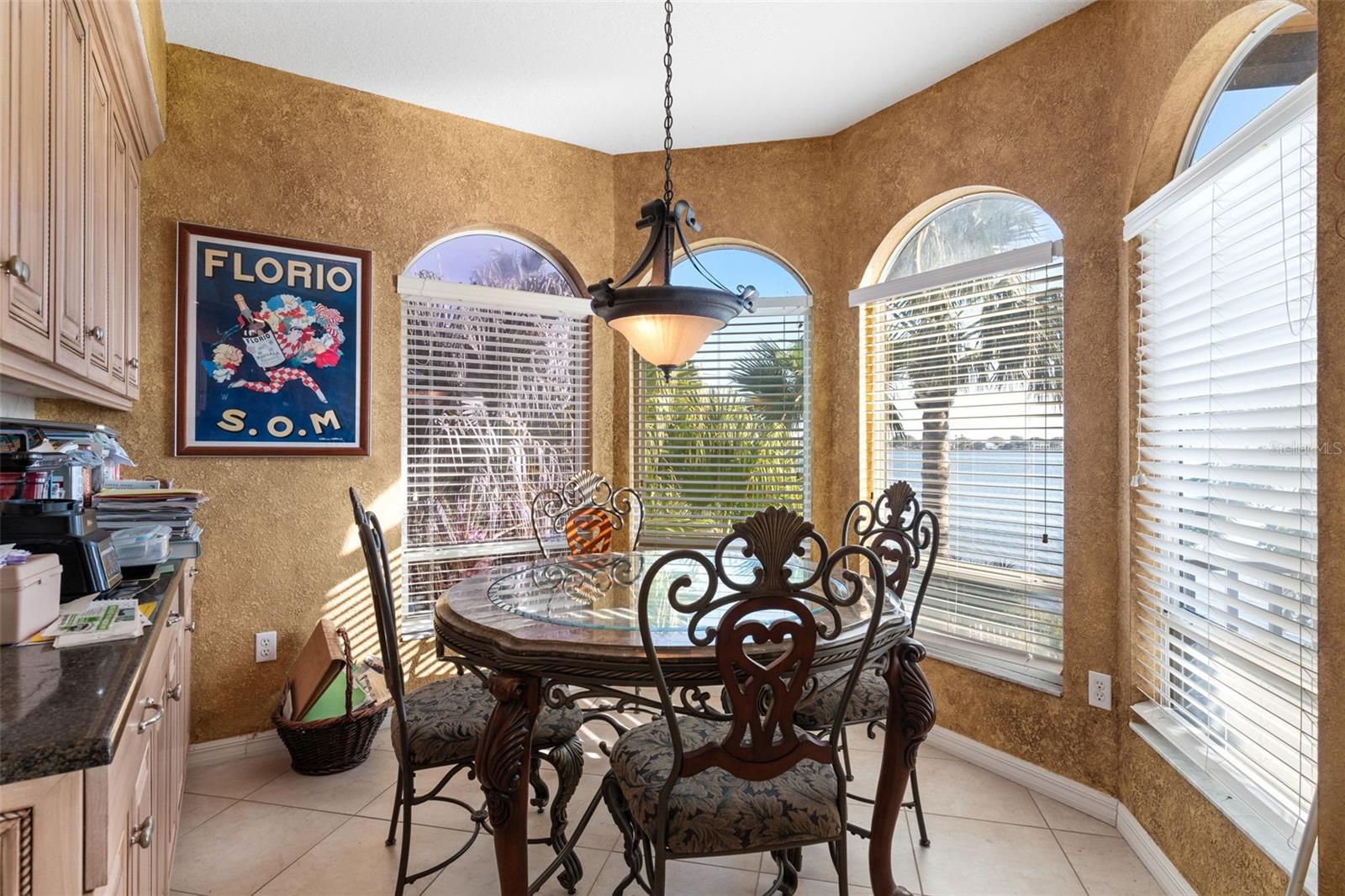 2077 N POINTE ALEXIS DR, TARPON SPRINGS, FL, 34689