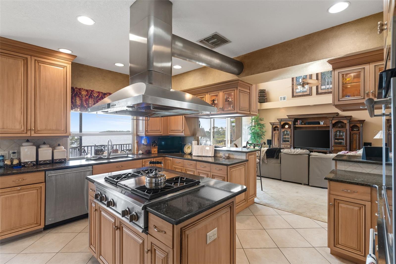 2077 N POINTE ALEXIS DR, TARPON SPRINGS, FL, 34689