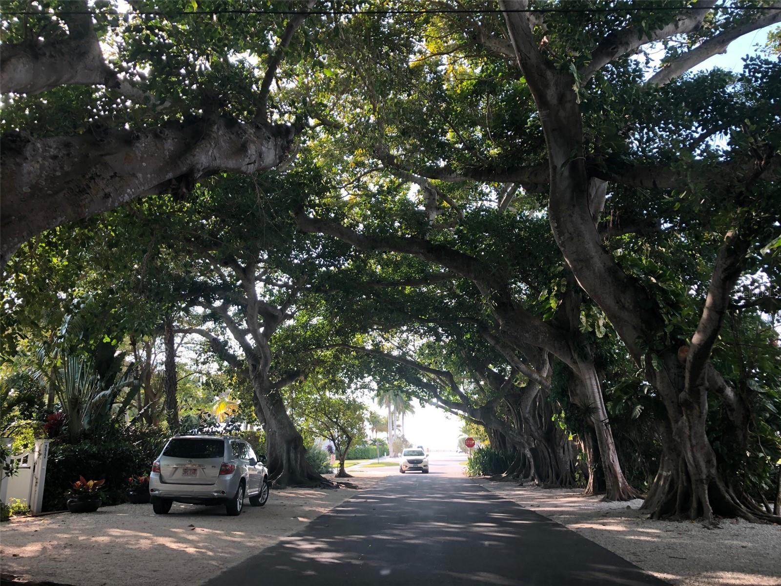 D6140811 Property Photo