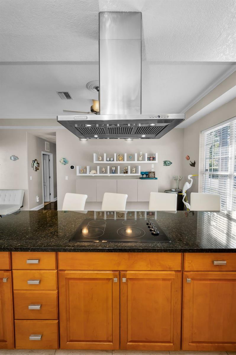 8155 ELISABETH LN, SEMINOLE, FL, 33777