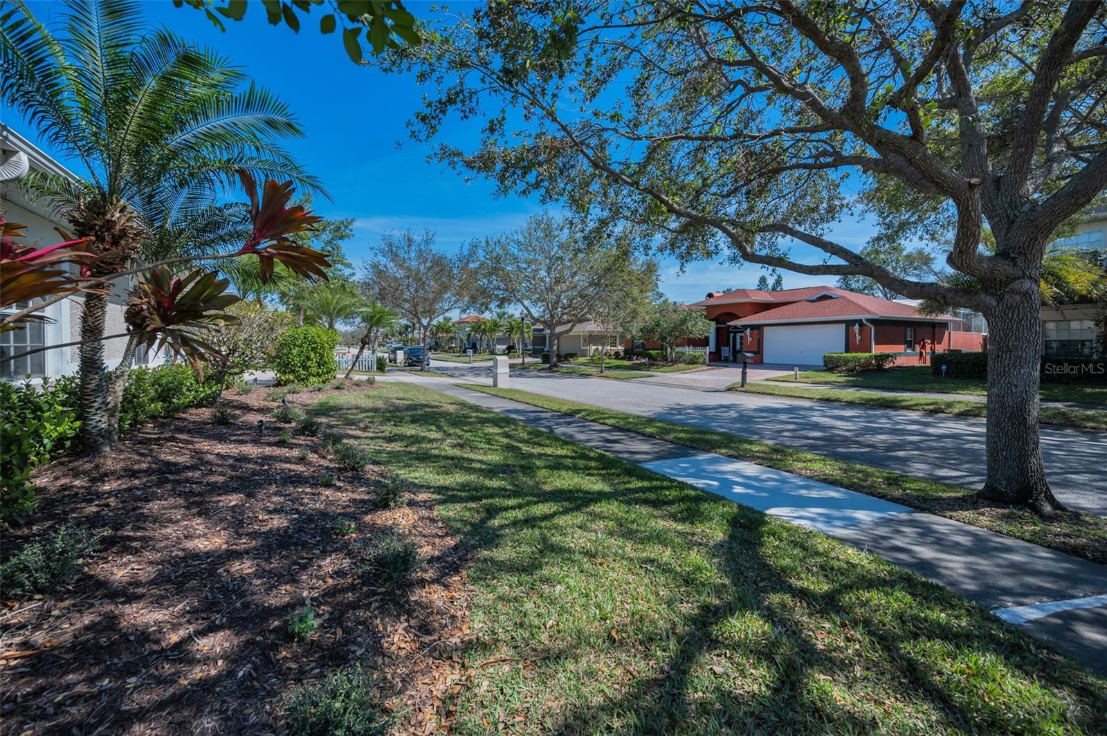 8155 ELISABETH LN, SEMINOLE, FL, 33777