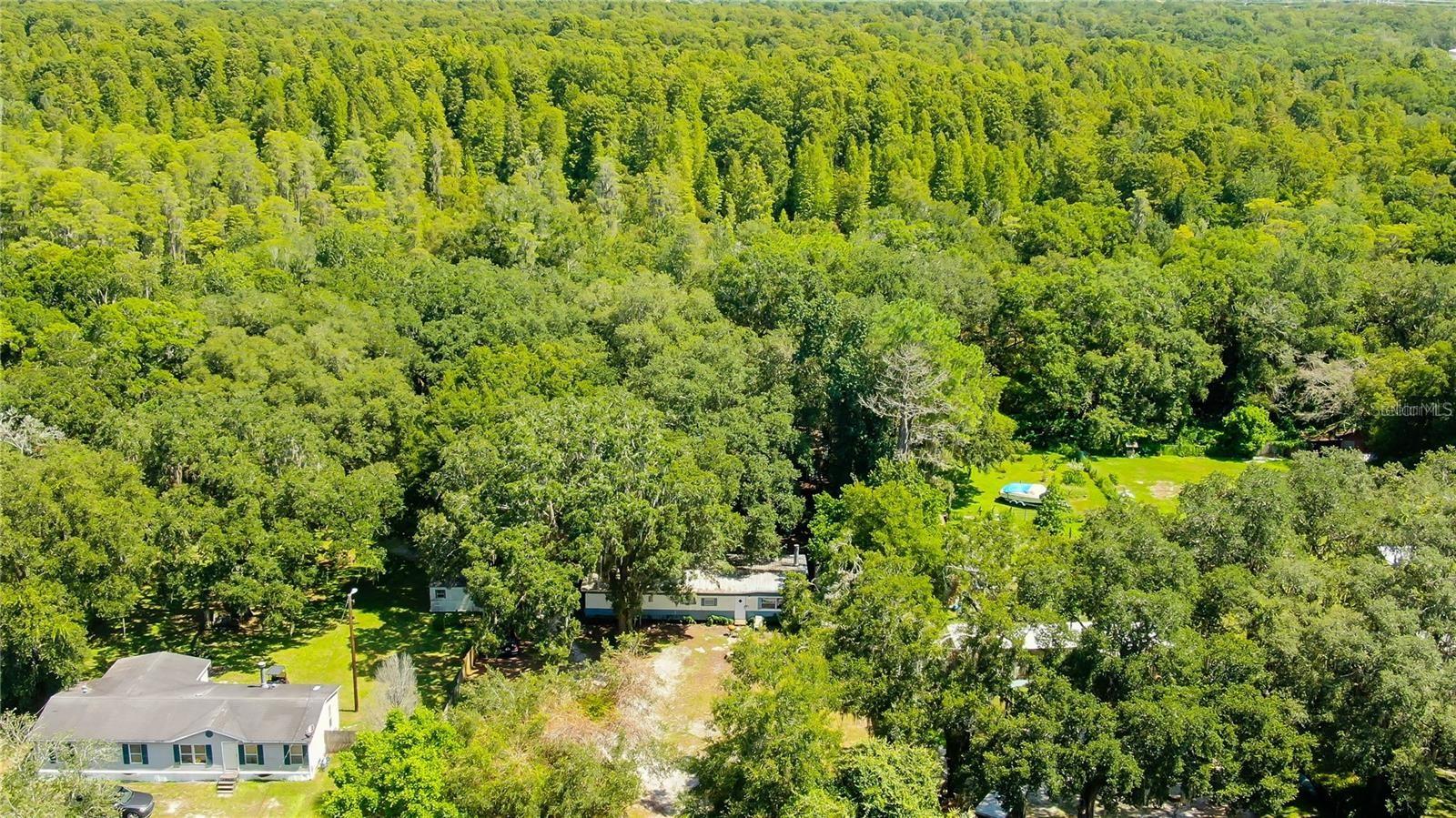 24815 AUDREY RD, LAND O LAKES, FL, 34639