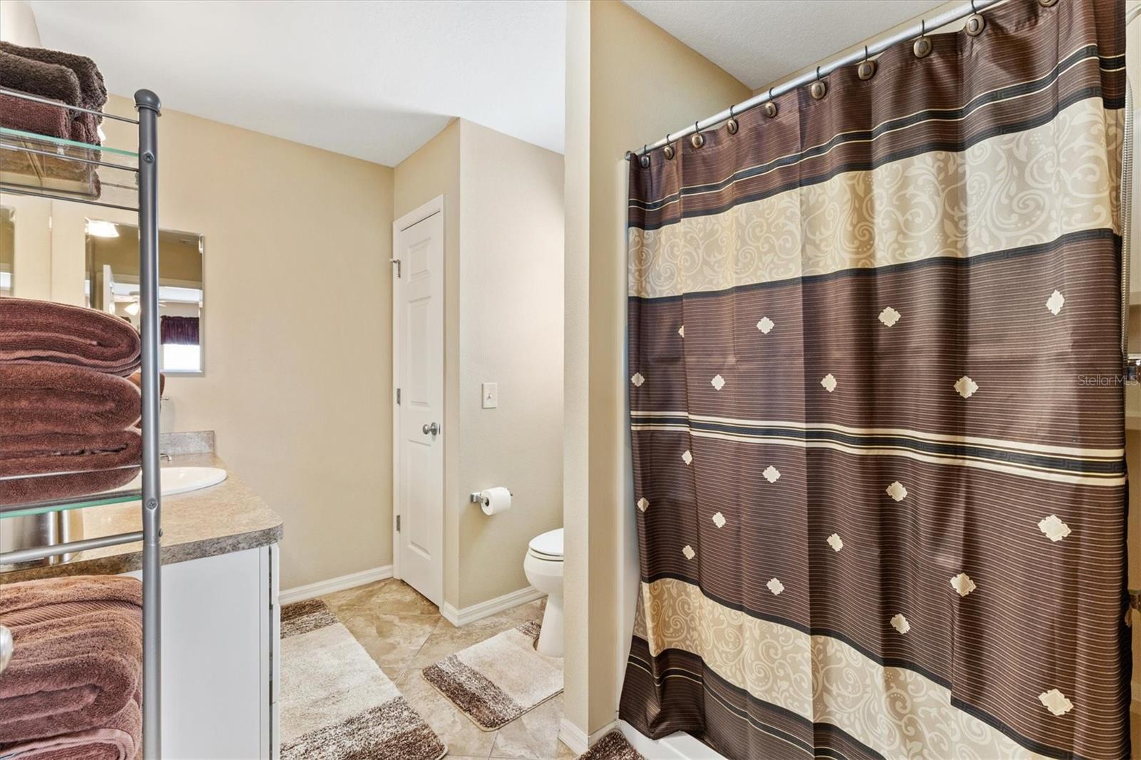 2116 BALDWIN RUN, THE VILLAGES, FL, 32162