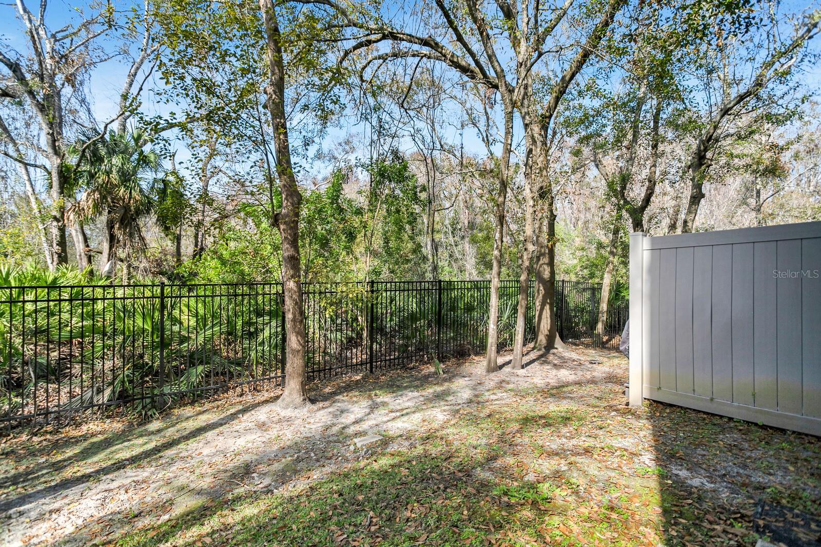 4156 GAUGE LINE LOOP, TAMPA, FL, 33624