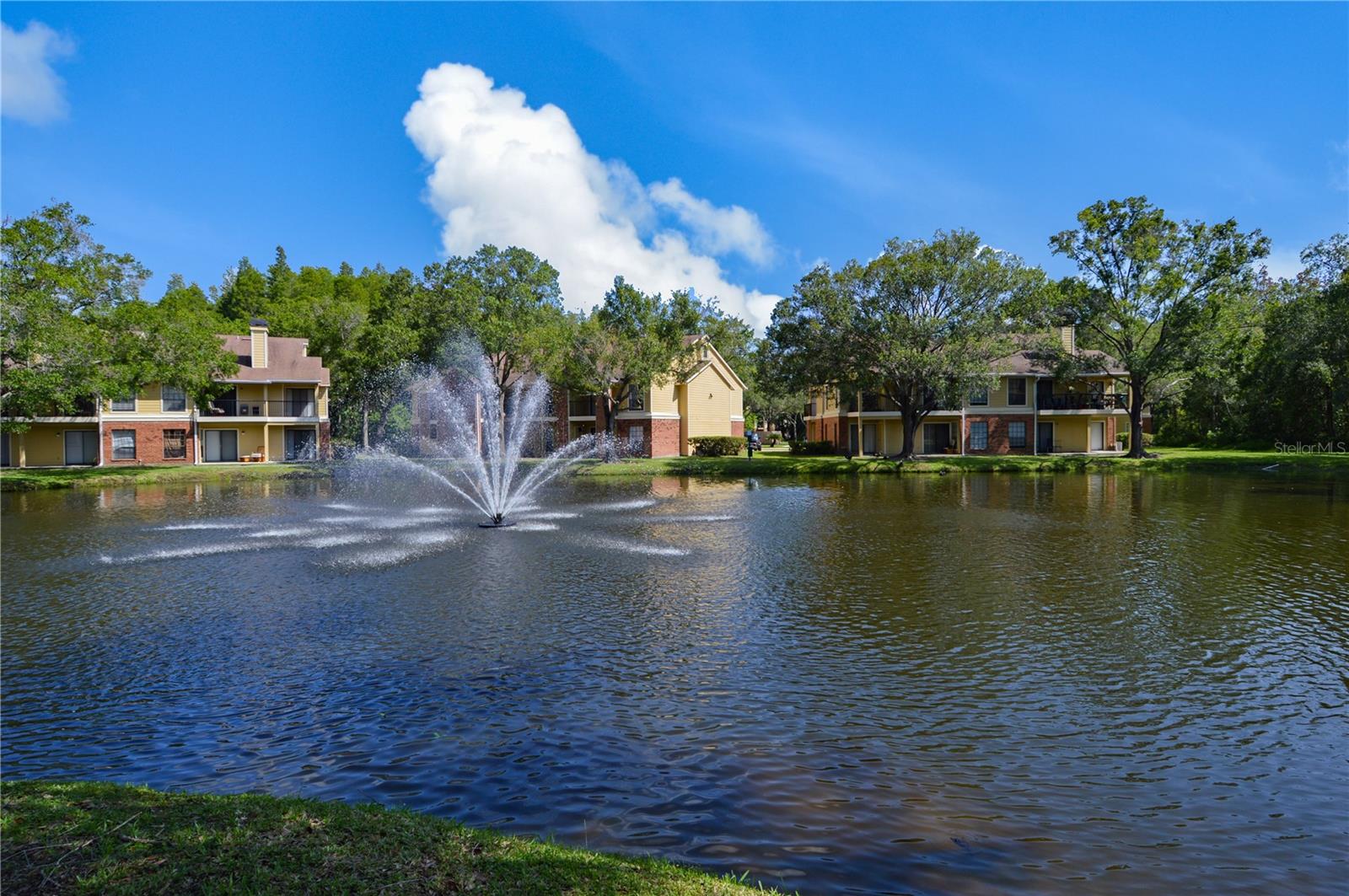 8630 MALLARD RESERVE DR #203, TAMPA, FL, 33614