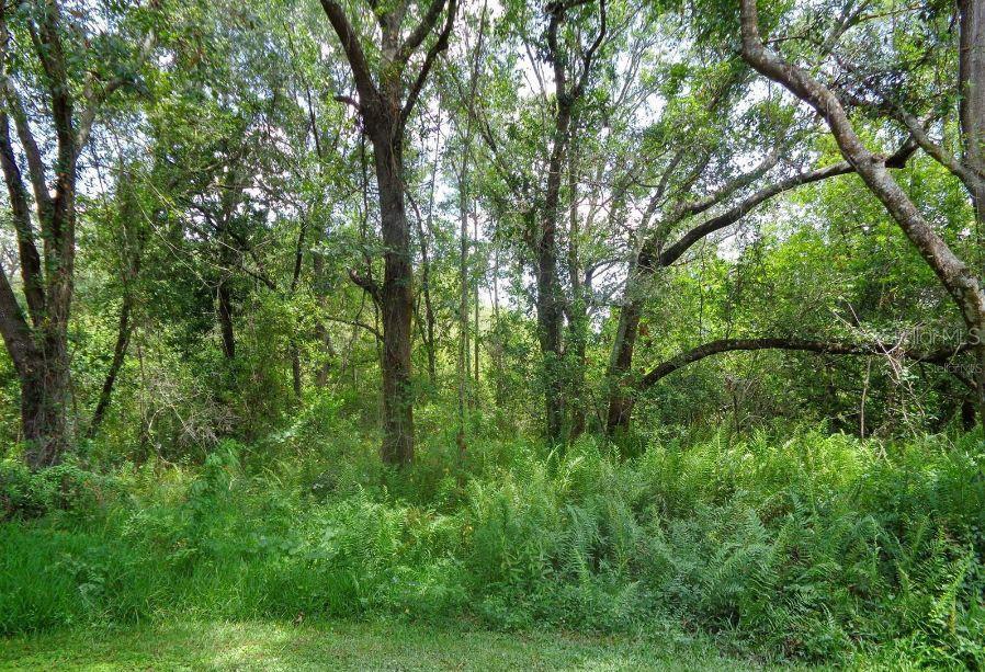 8630 MALLARD RESERVE DR #203, TAMPA, FL, 33614