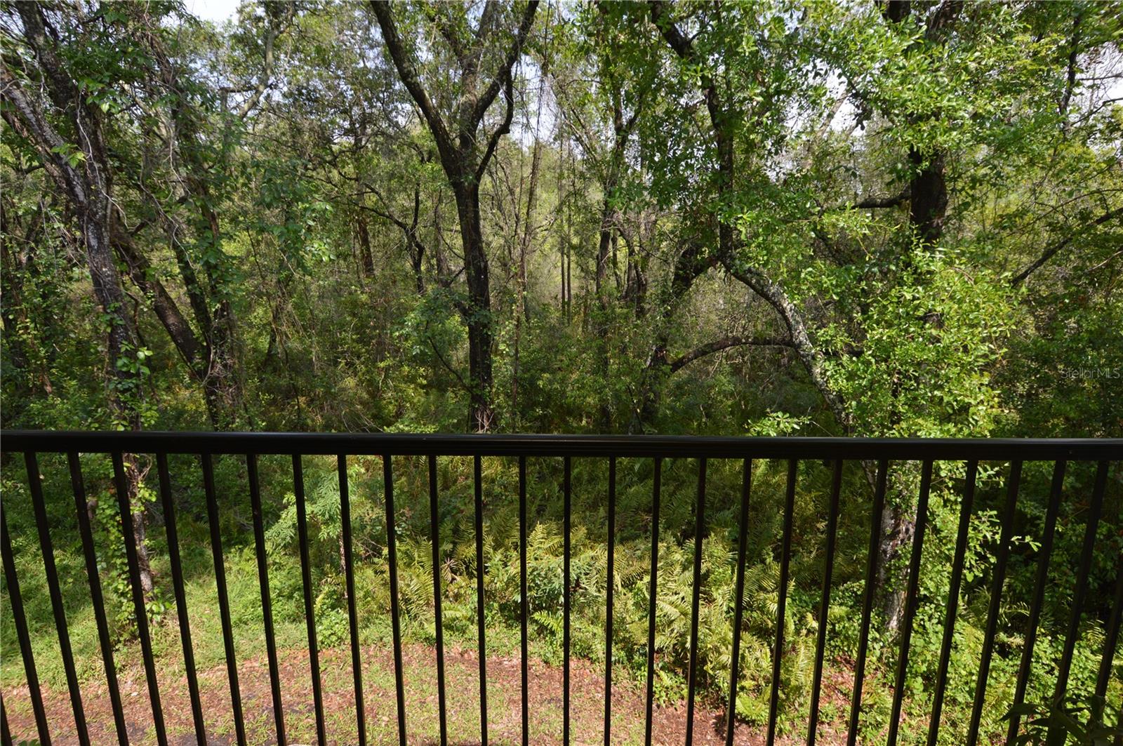 8630 MALLARD RESERVE DR #203, TAMPA, FL, 33614