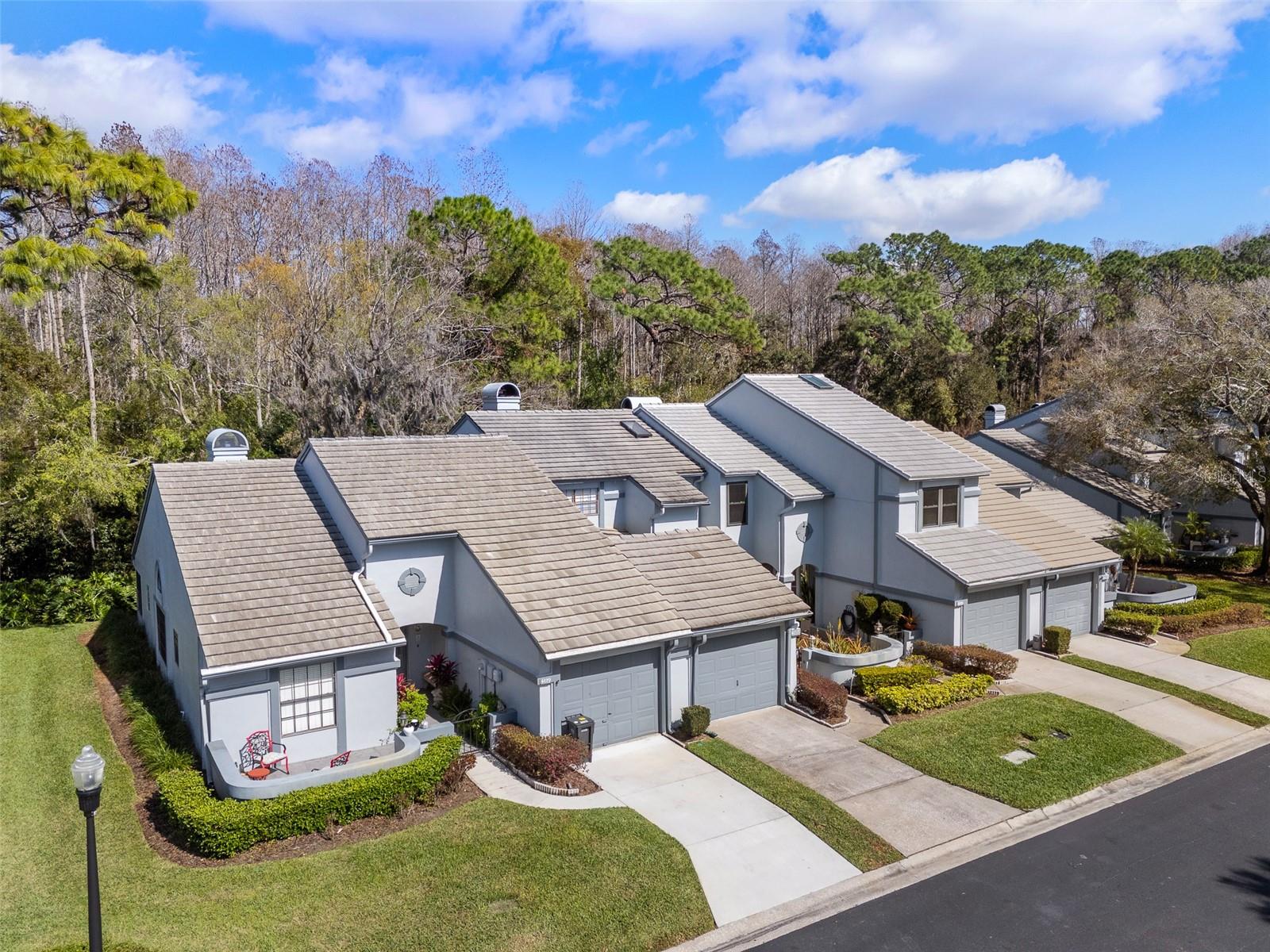 4115 BRENTWOOD PARK CIR, TAMPA, FL, 33624