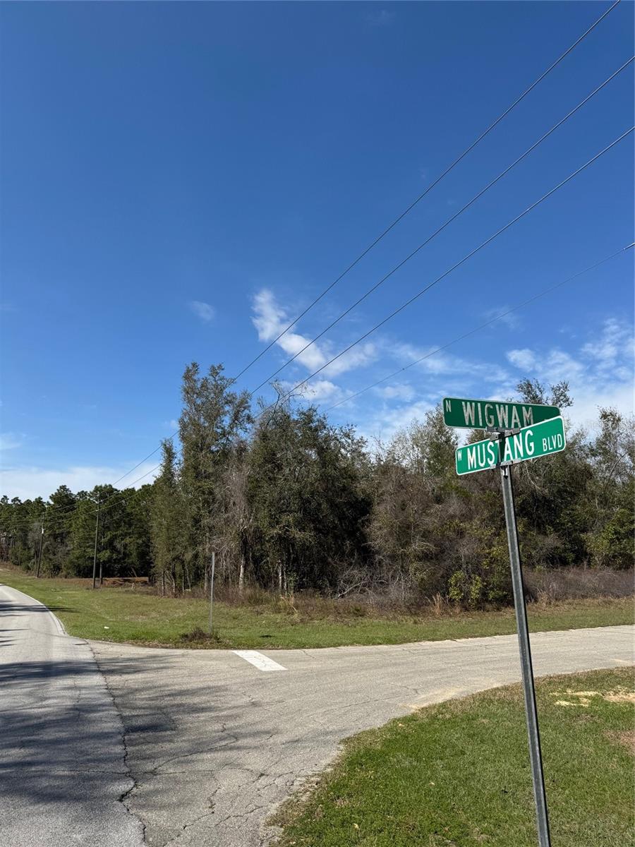 4324 N WIGWAM TER, BEVERLY HILLS, FL, 34465