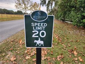 5360 SE 159TH PARCEL #33 LN, SUMMERFIELD, FL, 34491