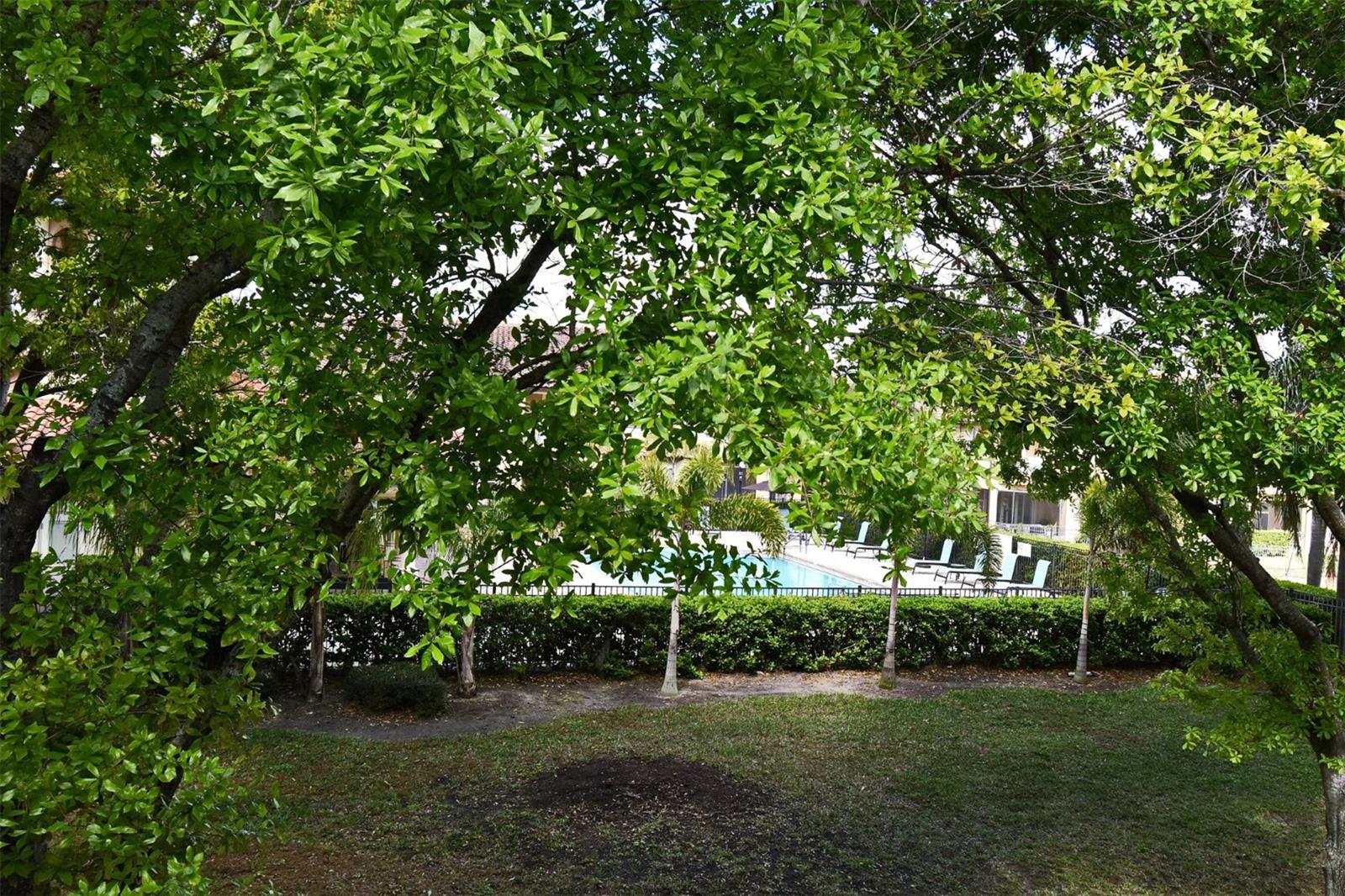 8766 THE ESPLANADE #23, ORLANDO, FL, 32836