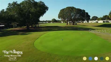 1532 W SCHWARTZ BLVD, LADY LAKE, FL, 32159