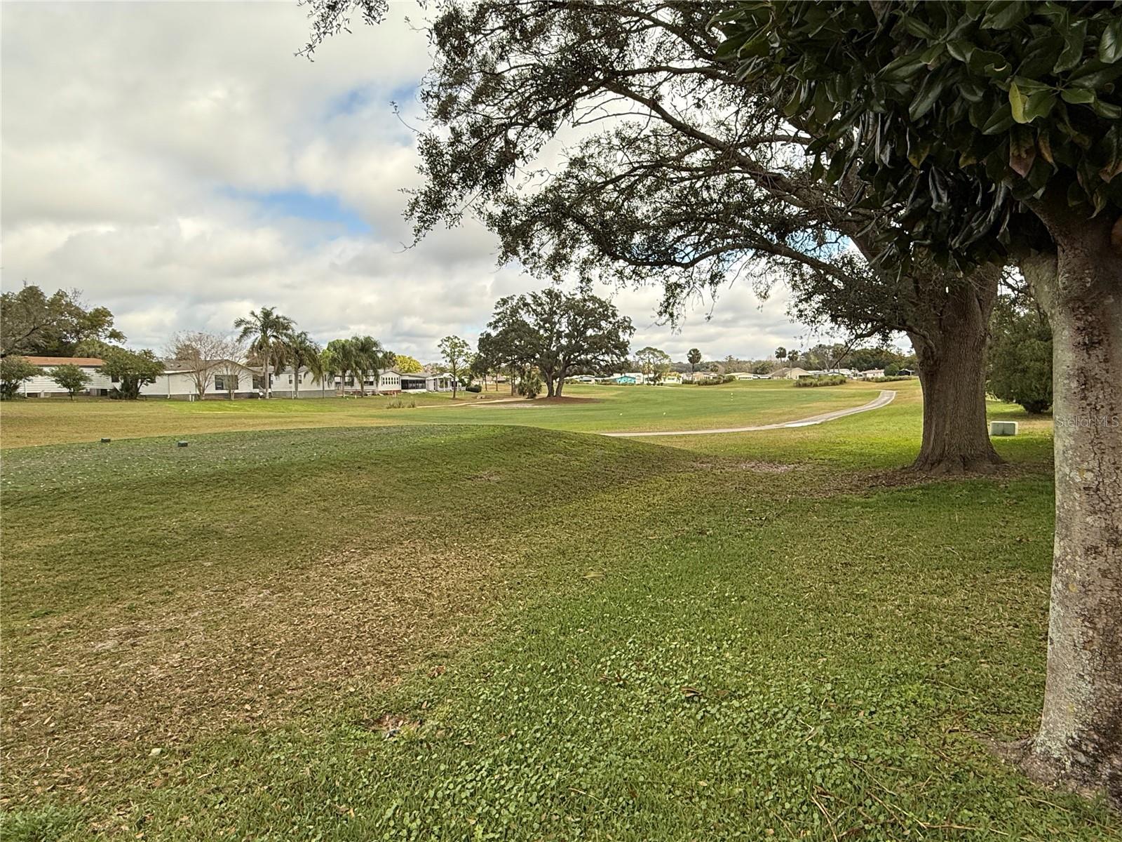 1532 W SCHWARTZ BLVD, LADY LAKE, FL, 32159