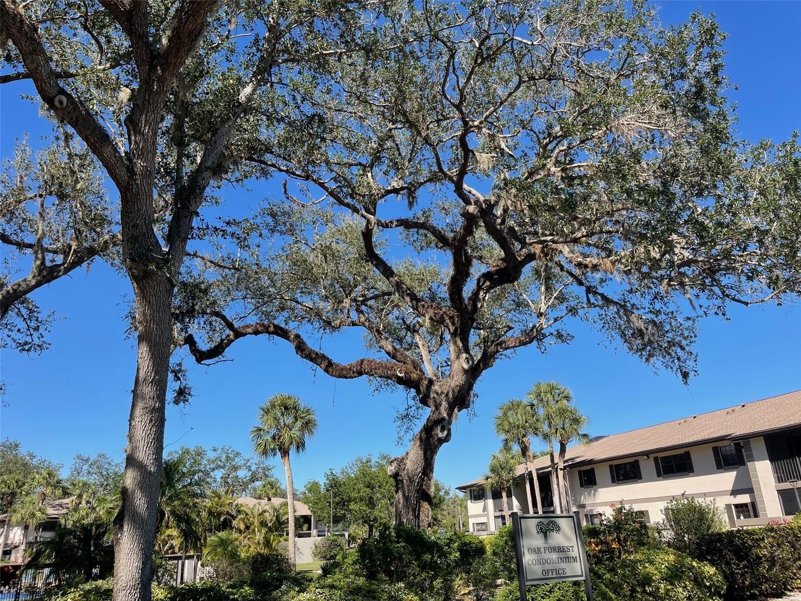 1515 FORREST NELSON BLVD #K107, PORT CHARLOTTE, FL, 33952