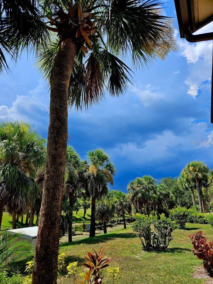 1515 FORREST NELSON BLVD #K107, PORT CHARLOTTE, FL, 33952