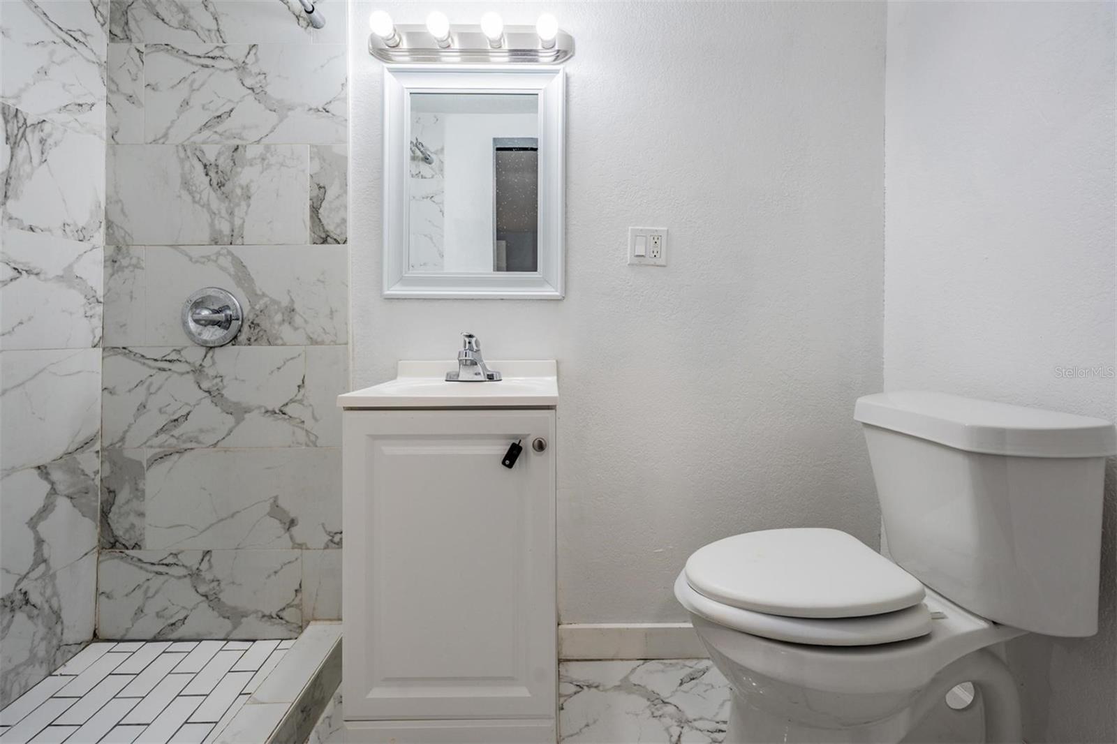 3620 E SHADOWLAWN AVE, TAMPA, FL, 33610