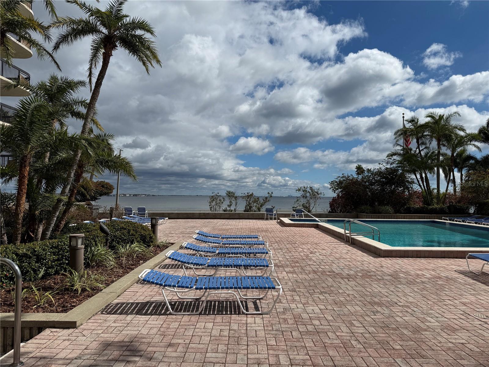 2413 BAYSHORE BLVD #205, TAMPA, FL, 33629
