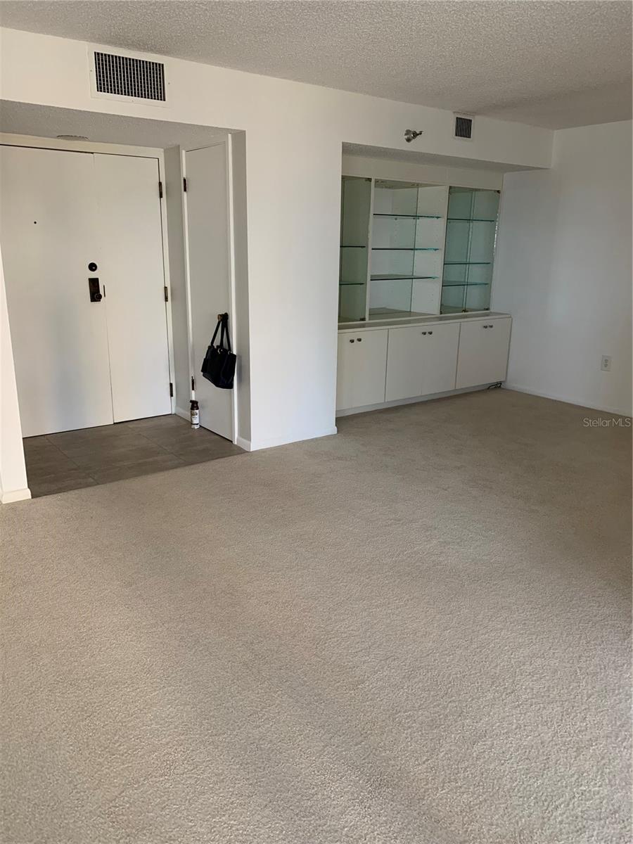 2413 BAYSHORE BLVD #205, TAMPA, FL, 33629
