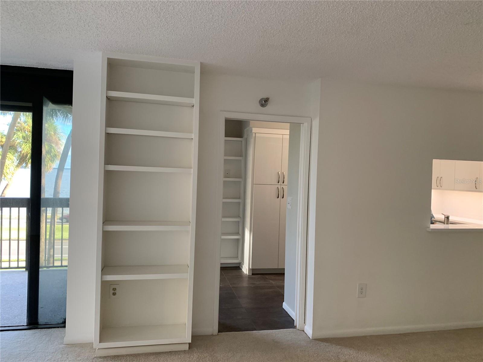 2413 BAYSHORE BLVD #205, TAMPA, FL, 33629