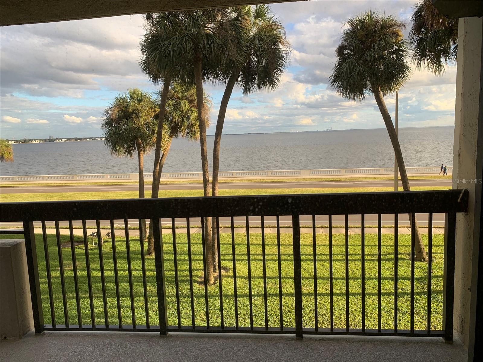 2413 BAYSHORE BLVD #205, TAMPA, FL, 33629