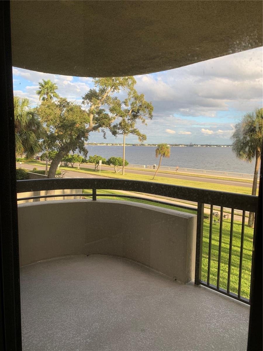 2413 BAYSHORE BLVD #205, TAMPA, FL, 33629