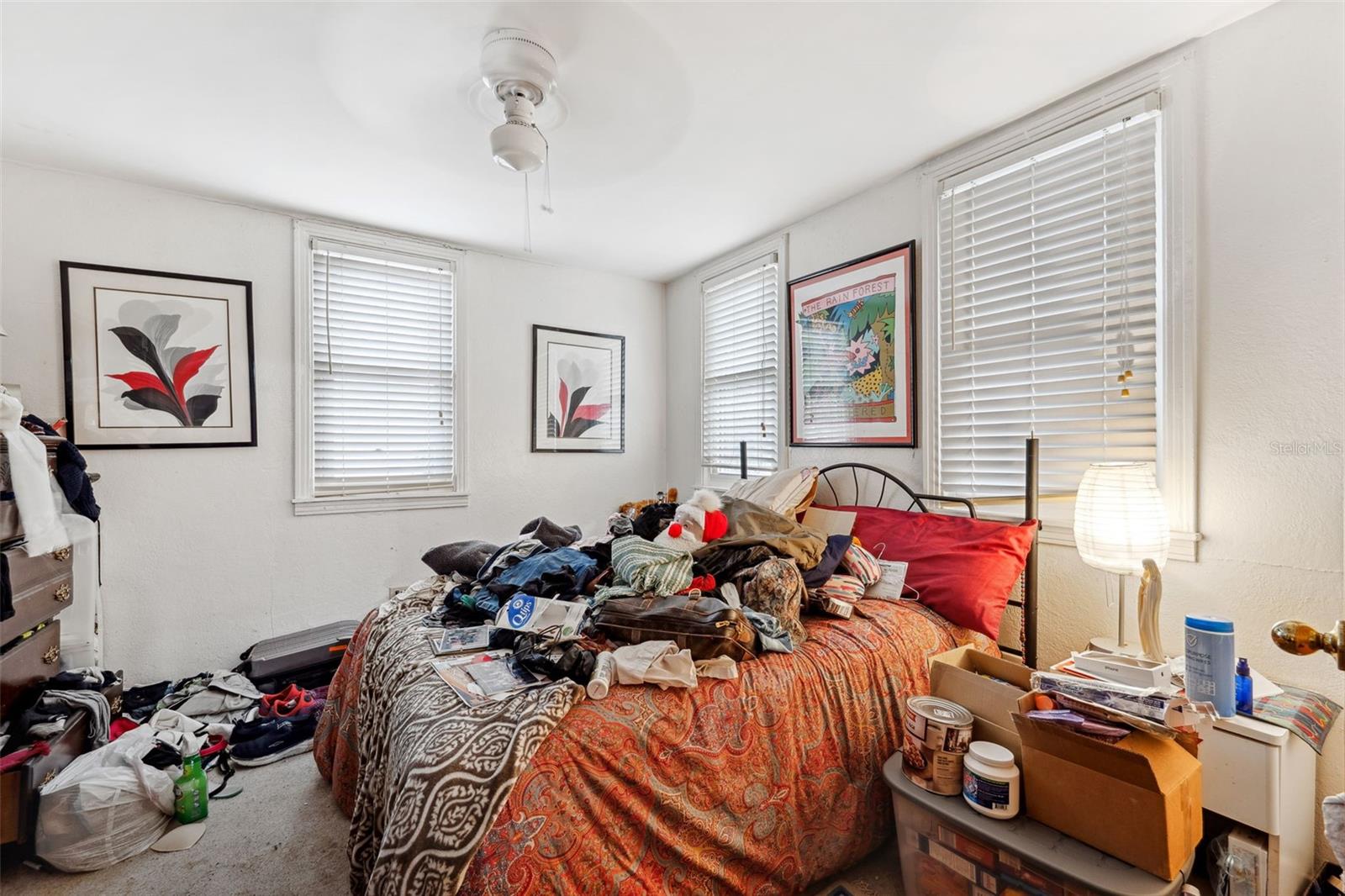 519 ROANOKE ST, DUNEDIN, FL, 34698