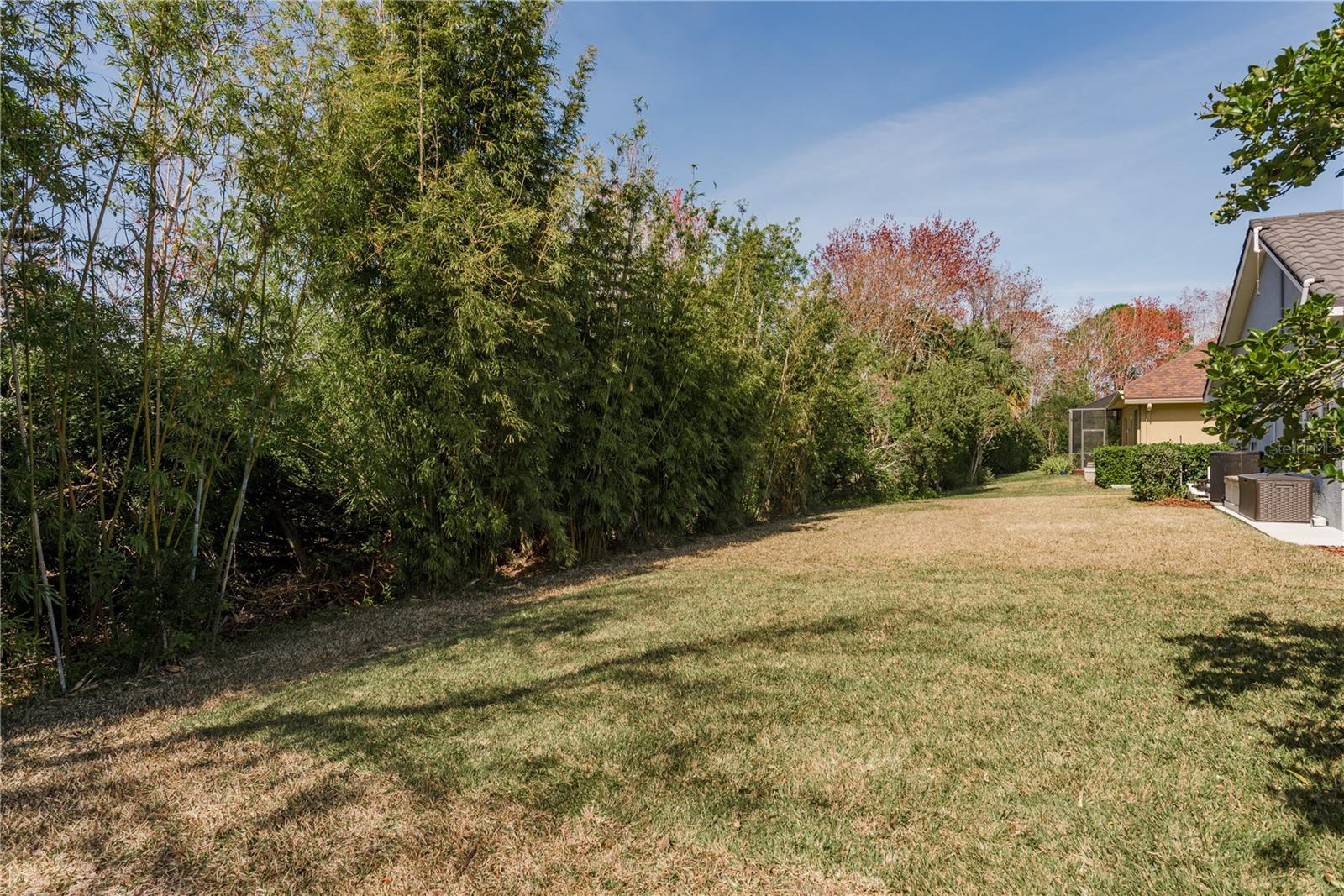 10537 GREENSPRINGS DR, TAMPA, FL, 33626