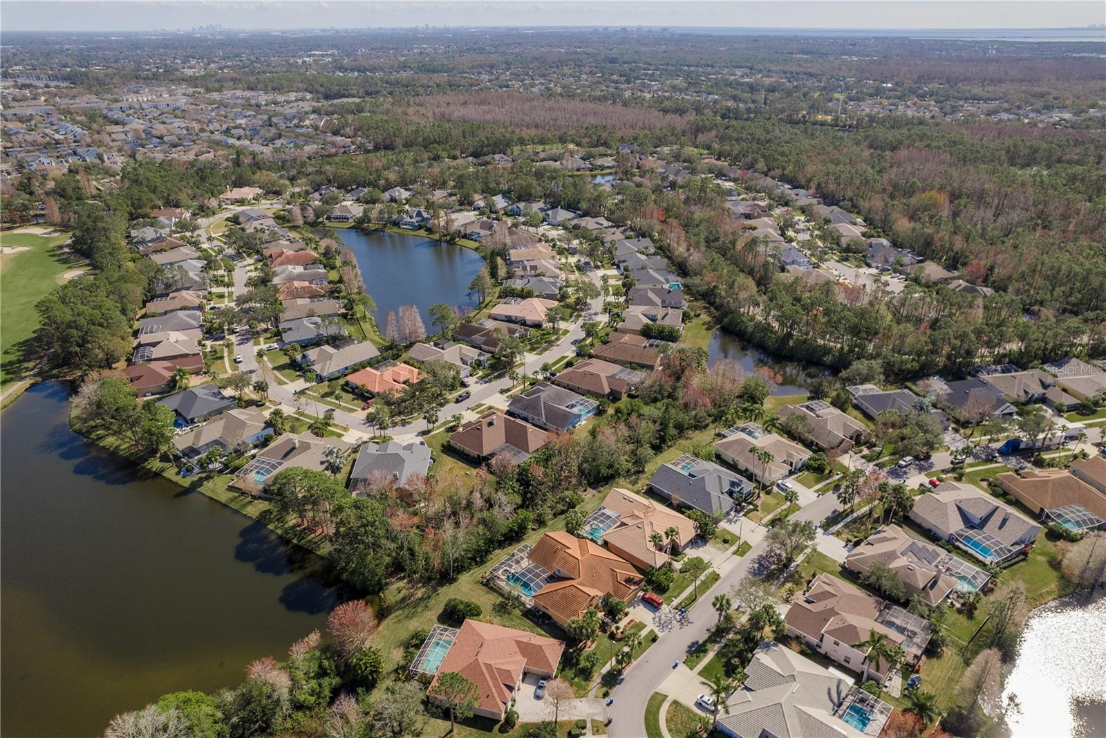 10537 GREENSPRINGS DR, TAMPA, FL, 33626