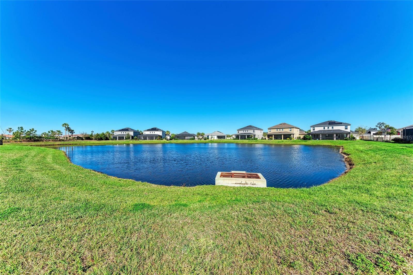 10010 BUCKMAN HALLS DR, PALMETTO, FL, 34221