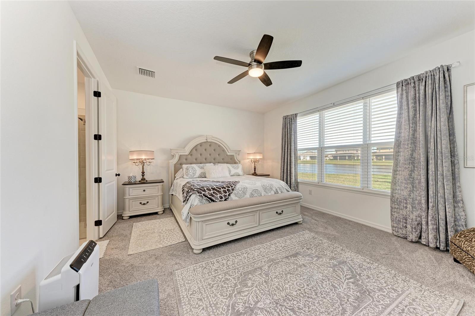 10010 BUCKMAN HALLS DR, PALMETTO, FL, 34221